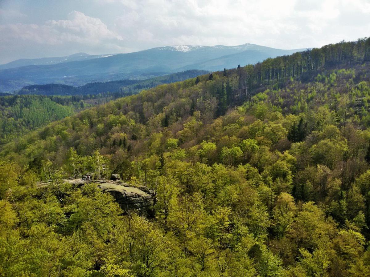 Drewniana Roza Willa Karkonosze Piechowice  Exterior photo